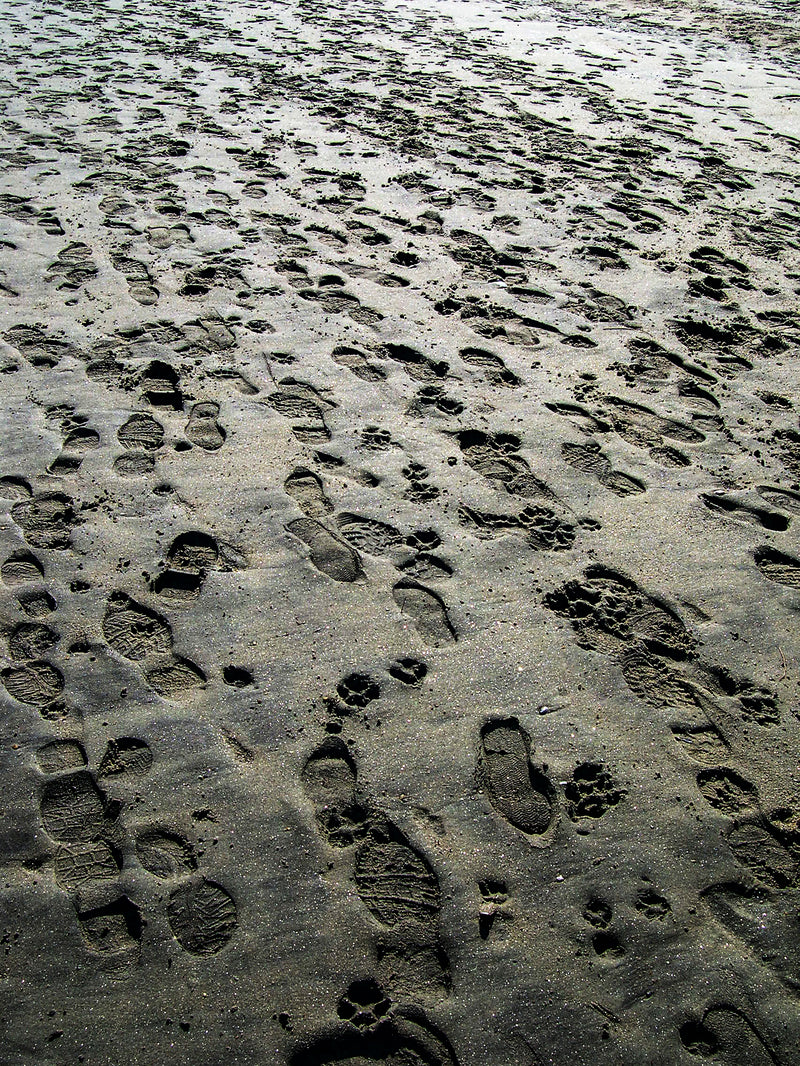 NYC Hamptons 01 You‘ll never walk alone