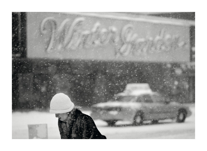 NYC Winter Garden
